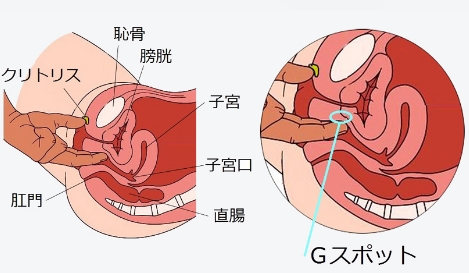 膣イキ記憶術・パーフェクトビデオ