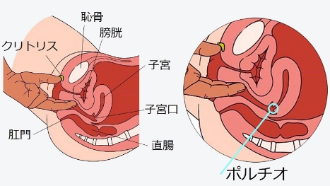膣イキ記憶術・パーフェクトビデオ