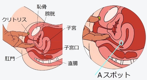 膣イキ記憶術・パーフェクトビデオ