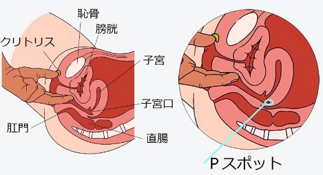 膣イキ記憶術・パーフェクトビデオ