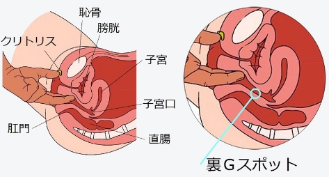 膣イキ記憶術・パーフェクトビデオ
