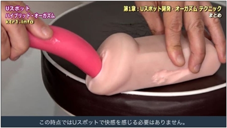 UX|bgEnCubg I[KYik𖃔܁j